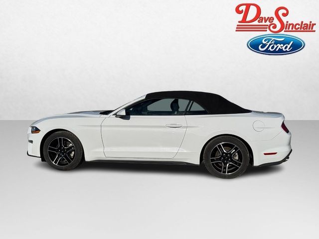 2023 Ford Mustang EcoBoost