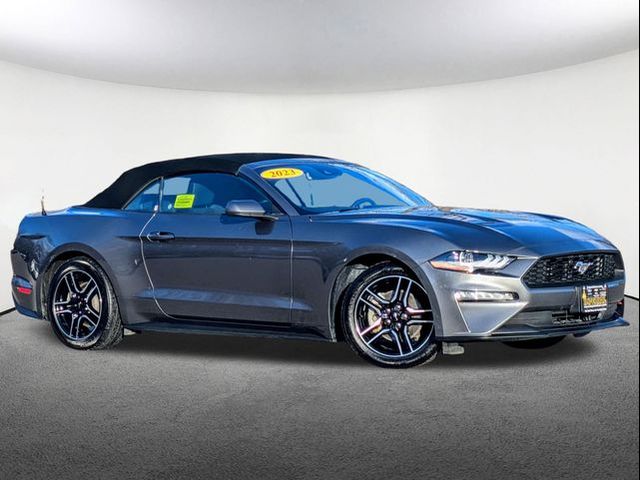 2023 Ford Mustang EcoBoost