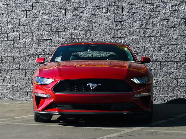 2023 Ford Mustang EcoBoost