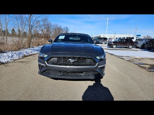 2023 Ford Mustang EcoBoost