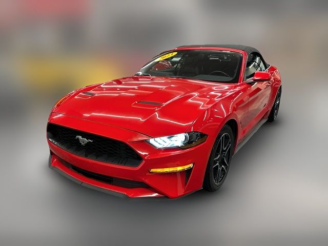 2023 Ford Mustang