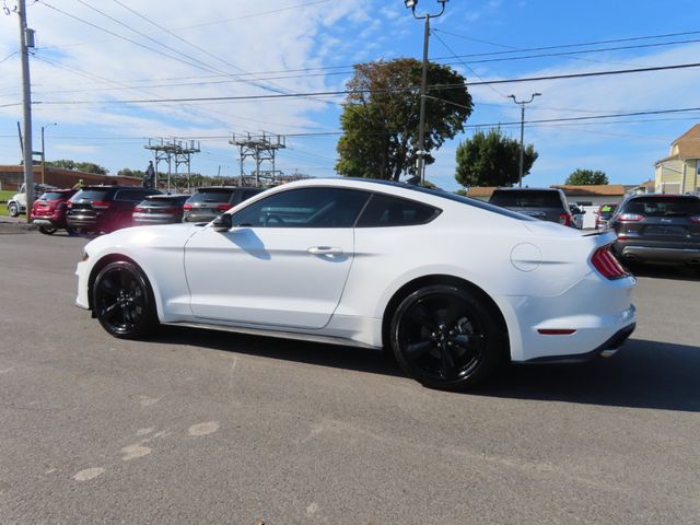 2023 Ford Mustang EcoBoost