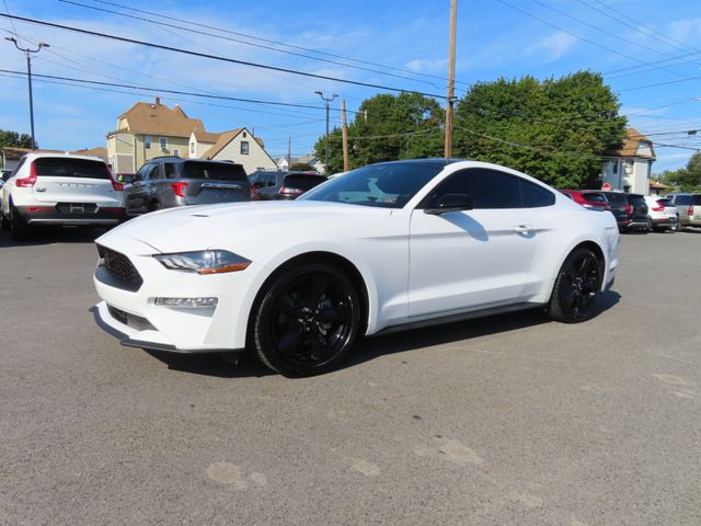 2023 Ford Mustang EcoBoost