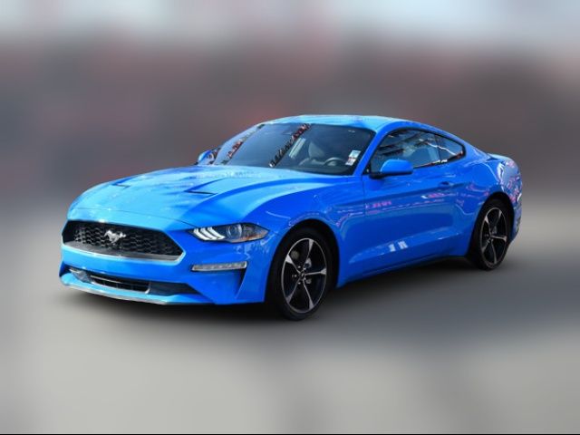 2023 Ford Mustang 