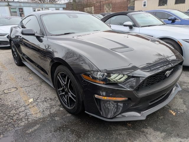 2023 Ford Mustang 