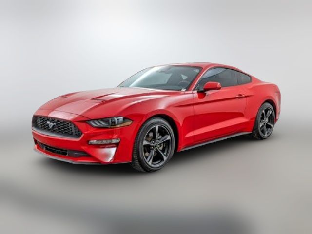 2023 Ford Mustang 