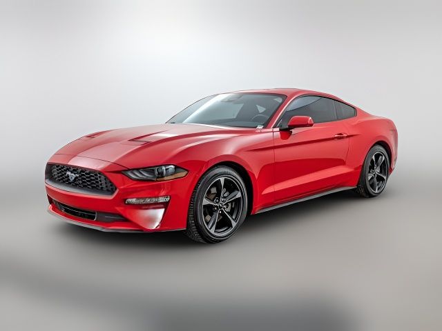 2023 Ford Mustang 