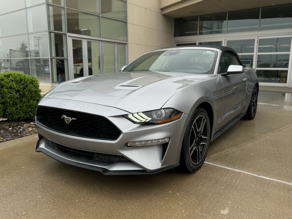 Used 2023 Ford Mustang For Sale Near Me | Auto Navigator Used 2023 Ford Mustang For Sale Near Me | Auto Navigator