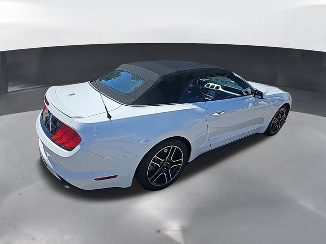 2023 Ford Mustang 