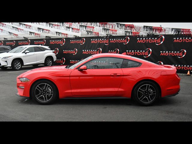 2023 Ford Mustang EcoBoost Premium