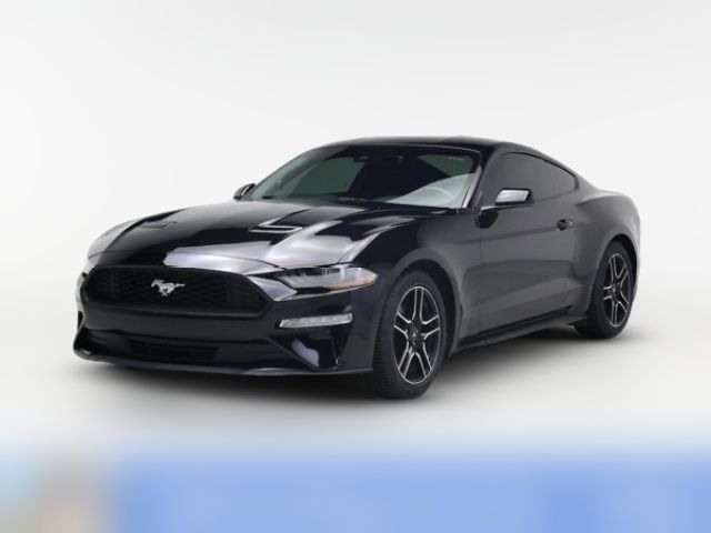 2023 Ford Mustang EcoBoost