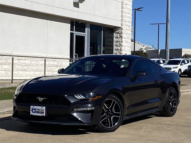 2023 Ford Mustang EcoBoost