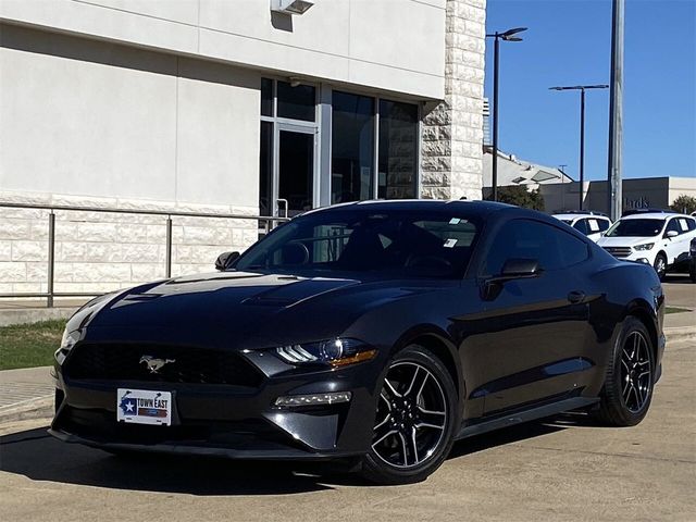 2023 Ford Mustang EcoBoost