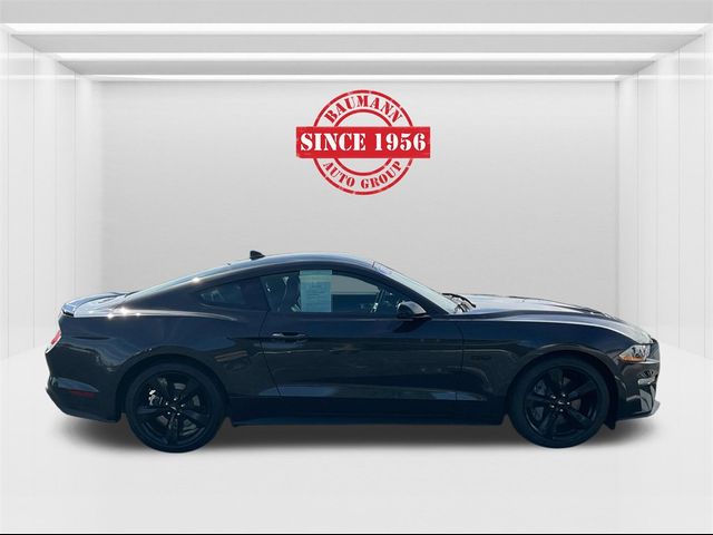 2023 Ford Mustang GT