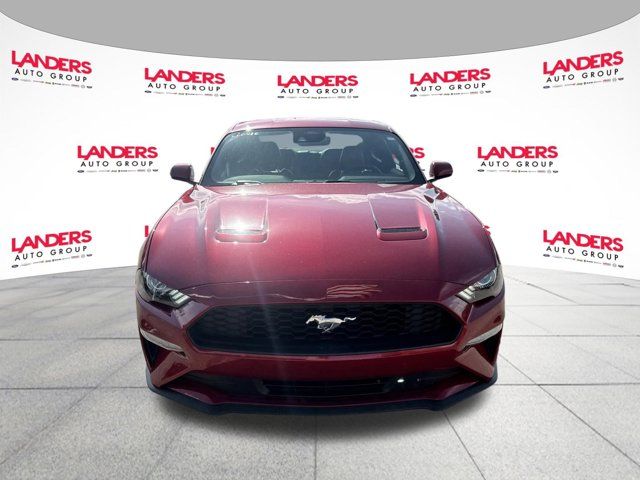 2023 Ford Mustang EcoBoost