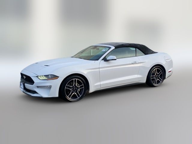 2023 Ford Mustang EcoBoost