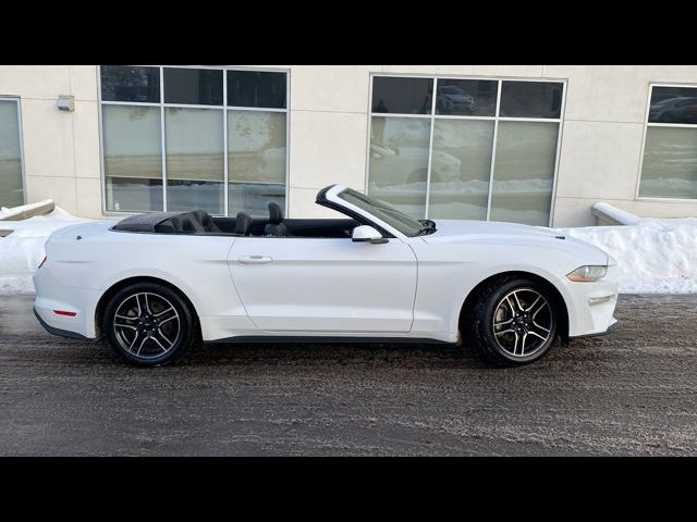 2023 Ford Mustang EcoBoost