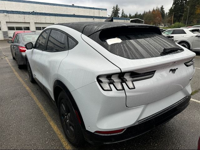 2023 Ford Mustang Mach-E California Route 1