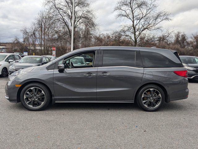 2023 Honda Odyssey Elite