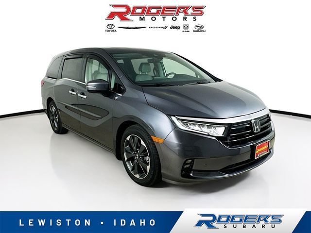 2023 Honda Odyssey Elite