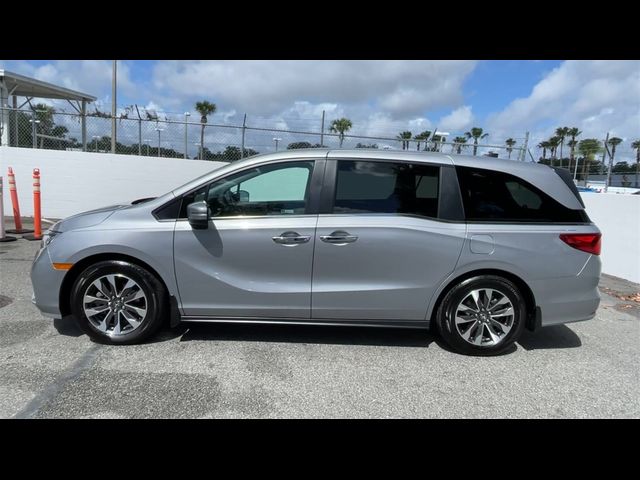 2023 Honda Odyssey EX-L