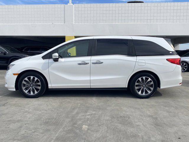 2023 Honda Odyssey EX-L