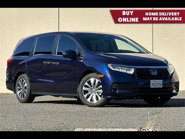 2023 Honda Odyssey EX-L