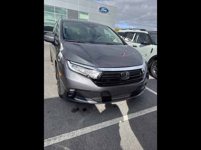 2023 Honda Odyssey EX-L