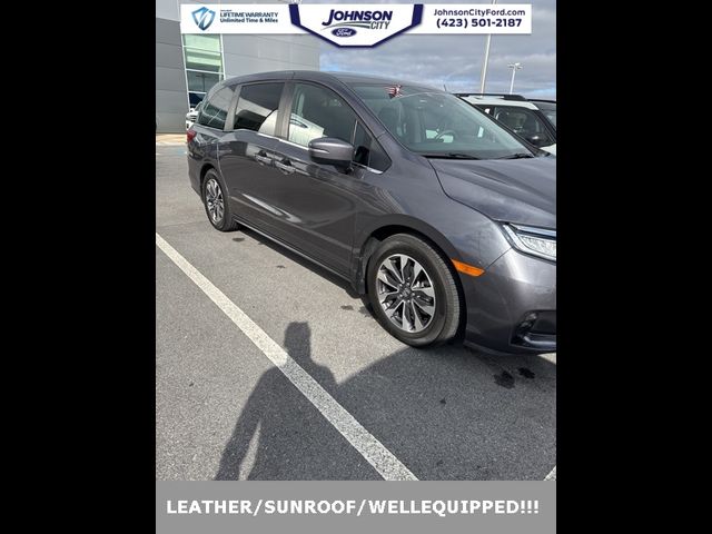 2023 Honda Odyssey EX-L