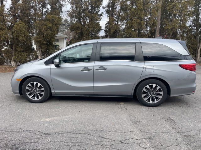 2023 Honda Odyssey EX-L