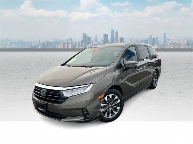 2023 Honda Odyssey EX-L