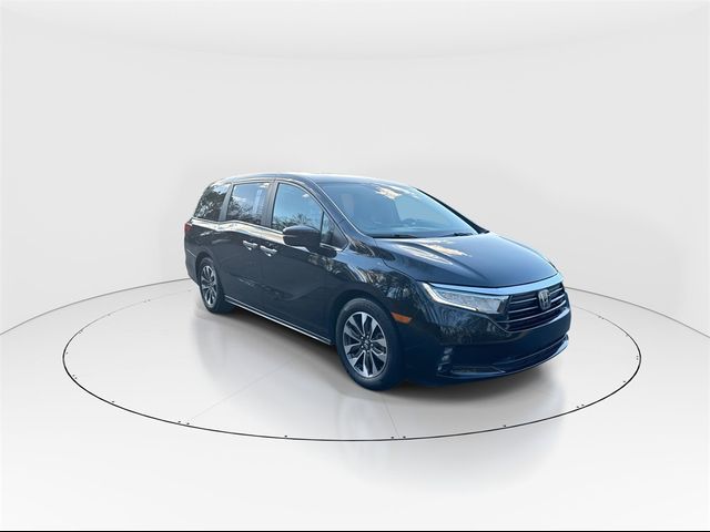 2023 Honda Odyssey EX-L