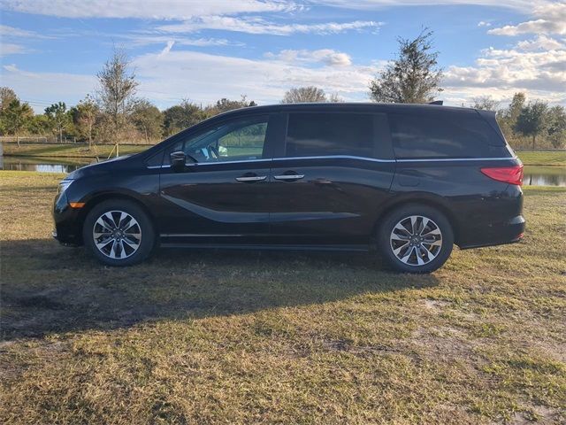 2023 Honda Odyssey EX-L