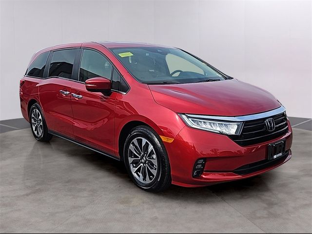 2023 Honda Odyssey EX-L