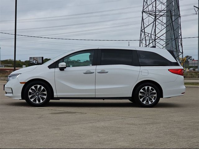 2023 Honda Odyssey EX-L