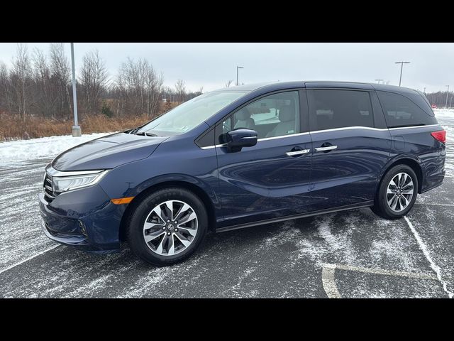 2023 Honda Odyssey EX-L
