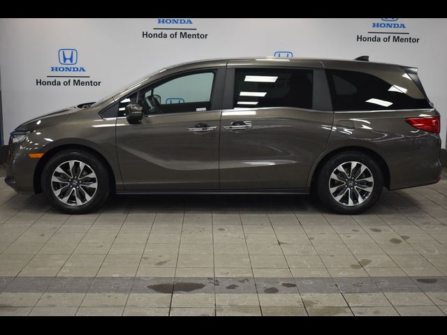 2023 Honda Odyssey EX-L