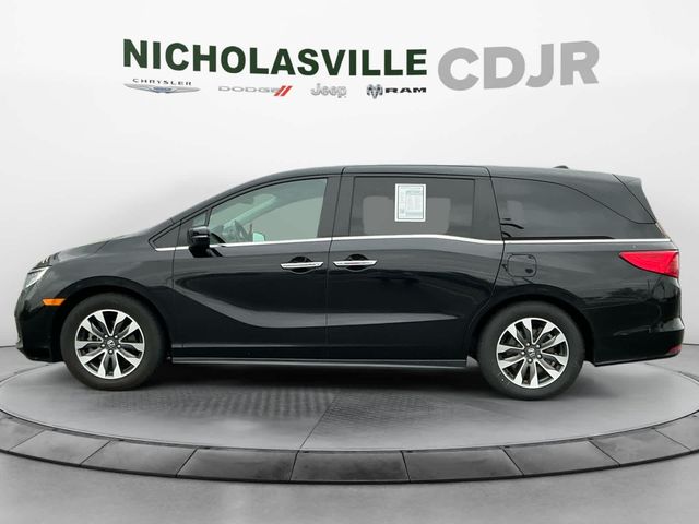 2023 Honda Odyssey EX-L