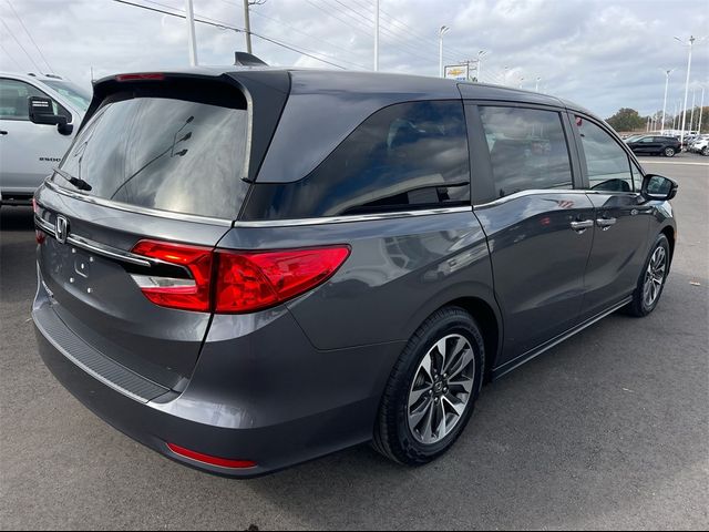 2023 Honda Odyssey EX-L