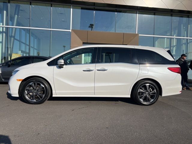 2023 Honda Odyssey Elite