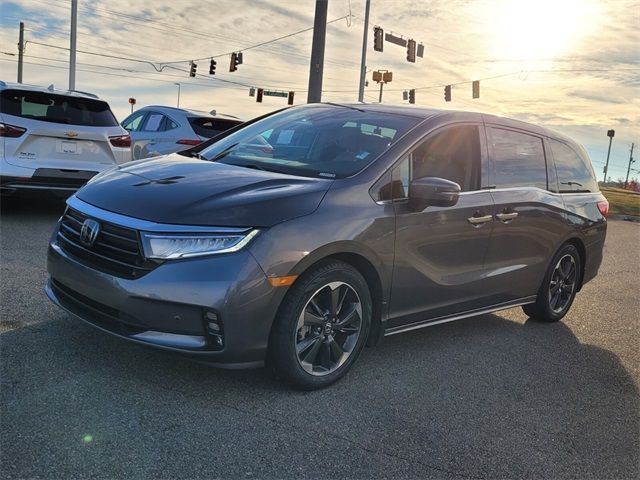 2023 Honda Odyssey Elite