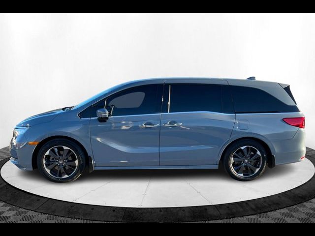 2023 Honda Odyssey Elite