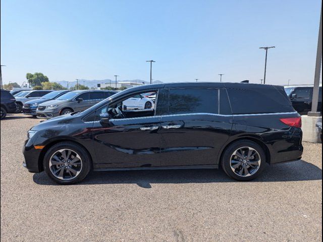 2023 Honda Odyssey Elite