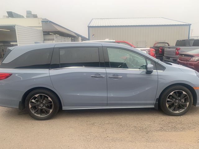 2023 Honda Odyssey Elite