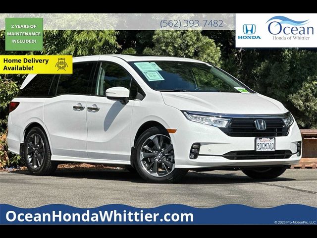 2023 Honda Odyssey Elite