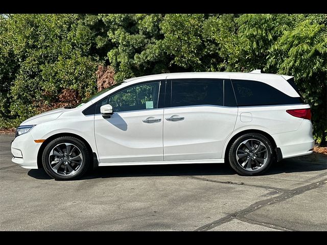 2023 Honda Odyssey Elite