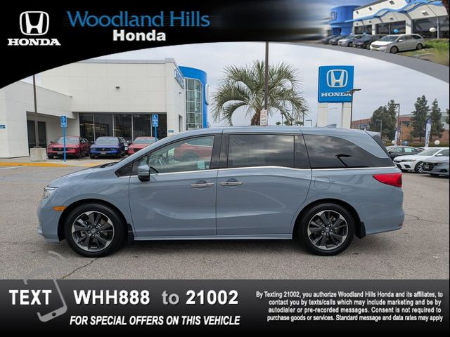 2023 Honda Odyssey Elite