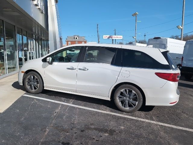 2023 Honda Odyssey Elite