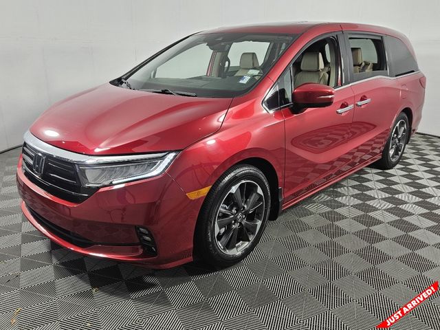 2023 Honda Odyssey Elite