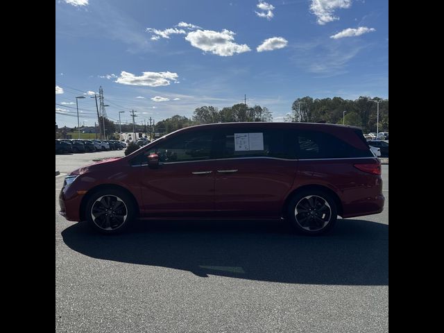 2023 Honda Odyssey Elite